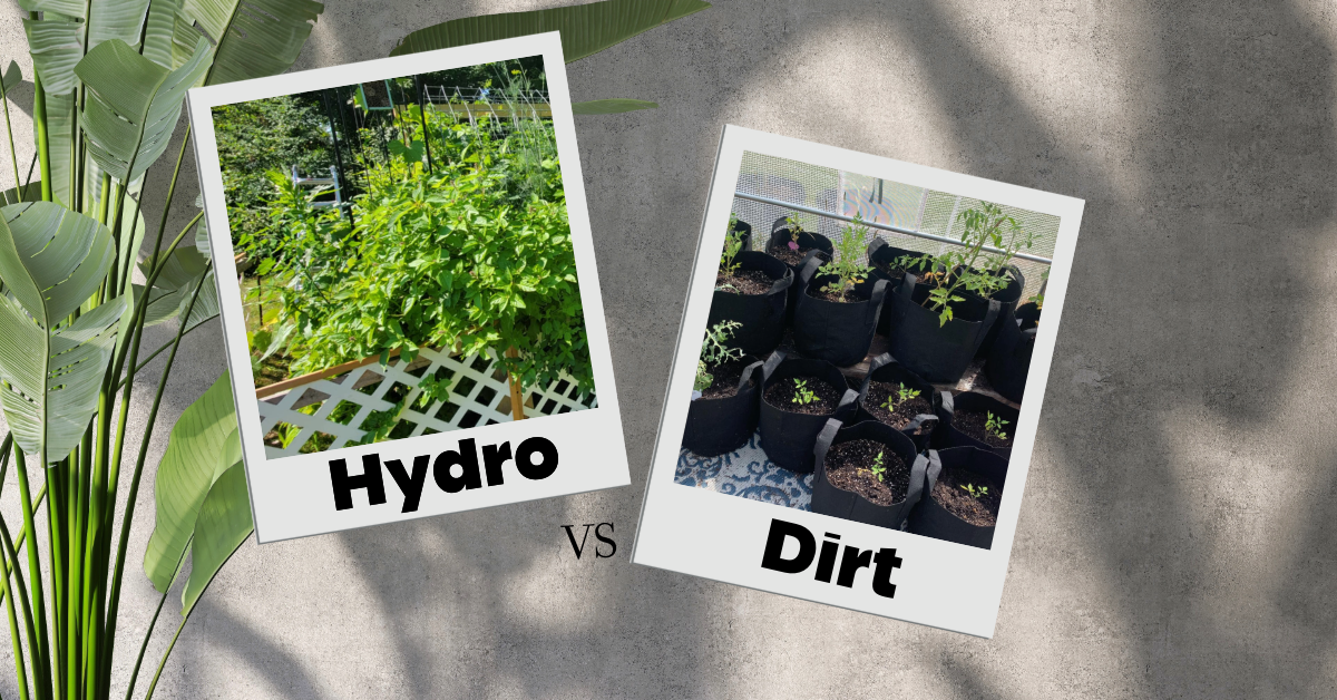 Hydro vs. Dirt: Same Goal, Different Techniques, and How It Relates to a Neurodivergent Brain